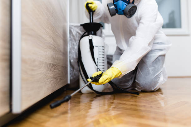 Best Exterminator Services  in Macarthur, WV