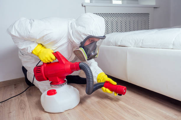 Best Ant Control Services  in Macarthur, WV