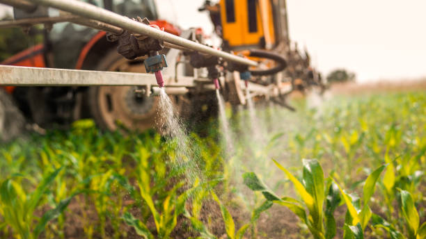 Best Commercial Pest Control Services  in Macarthur, WV